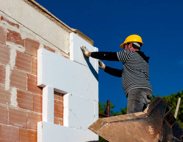 Best Insulation Contractors for Homes  in Seco Mines, TX