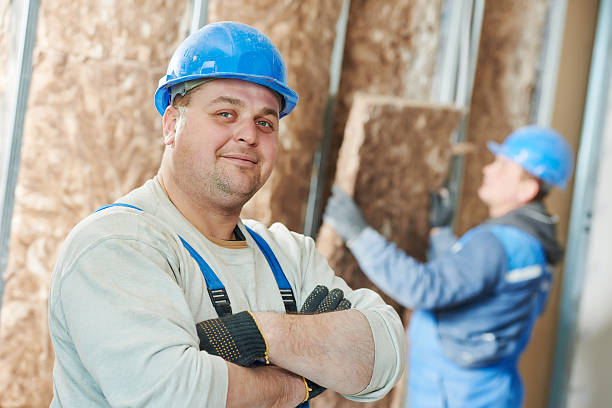 Best Insulation for New Construction  in Seco Mines, TX
